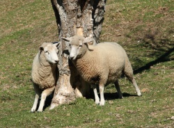 Click here to view the photos available in this gallery.